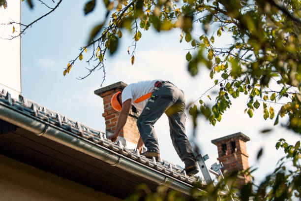 Best Local Roofing Companies  in Shoreline, WA