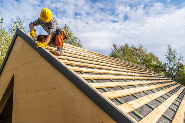 Best Metal Roofing Contractor  in Shoreline, WA