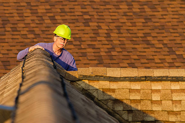 Best Roof Leak Repair  in Shoreline, WA