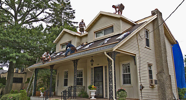 Best Best Roofing Contractors  in Shoreline, WA